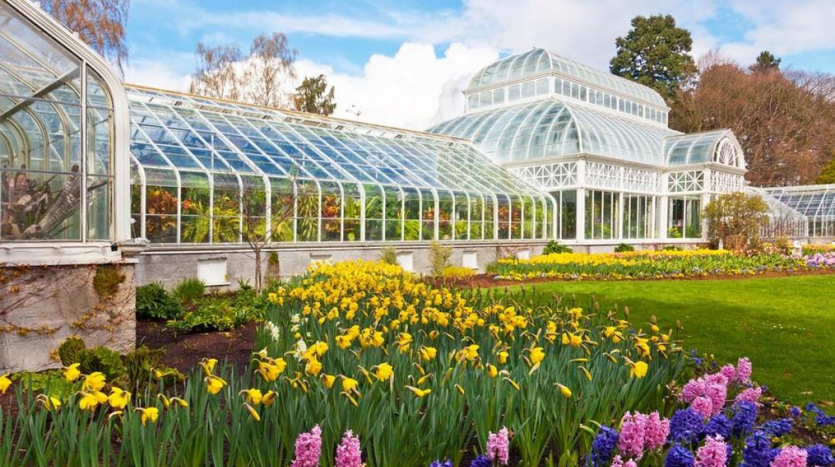 Free Admission to Volunteer Park Conservatory Seattle Area Family Fun